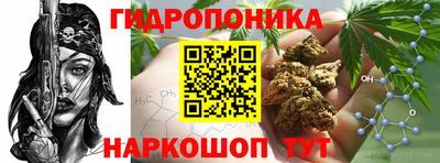 МДПВ Заволжье