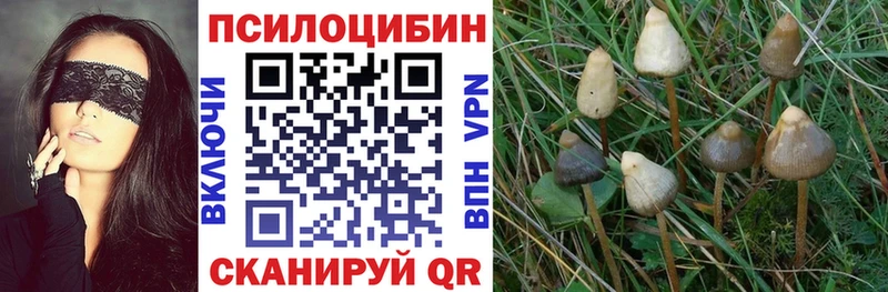 Галлюциногенные грибы MAGIC MUSHROOMS Кострома