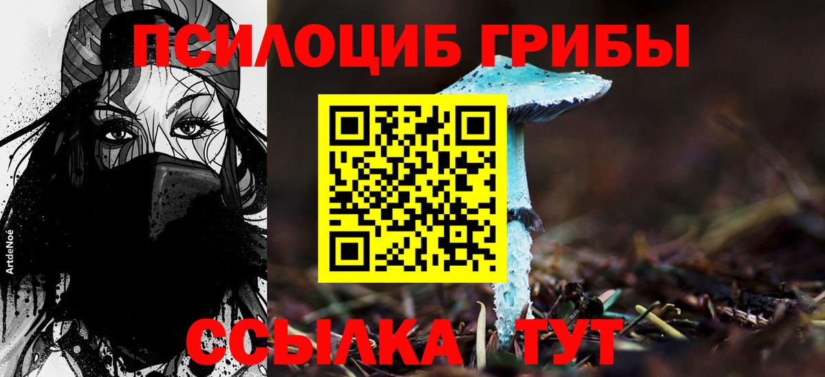 Галлюциногенные грибы мухоморы  Кострома  Галлюциногенные грибы Cubensis 