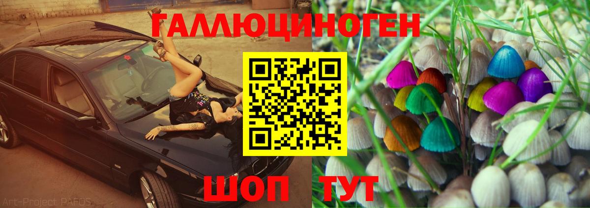 Псилоцибиновые грибы прущие грибы Кострома