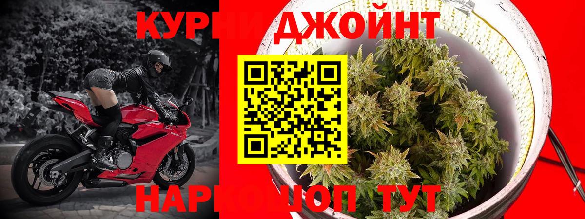Бошки Шишки тримм  Бошки марихуана индика  Кострома  Вход с VPN 